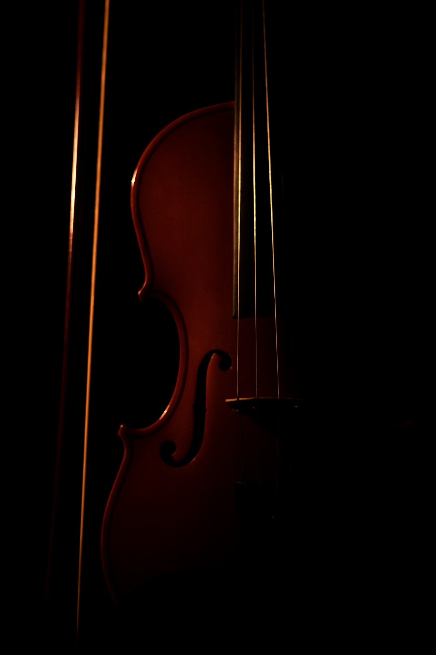 Escolhendo os melhores acessórios para violino